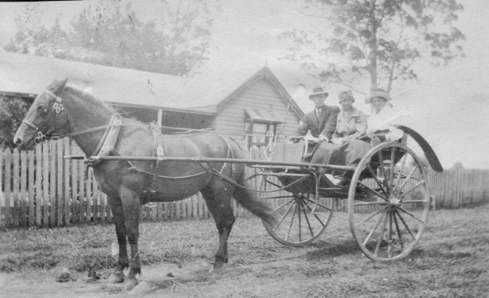 Passengers in a horse-drawn shay, 1910s