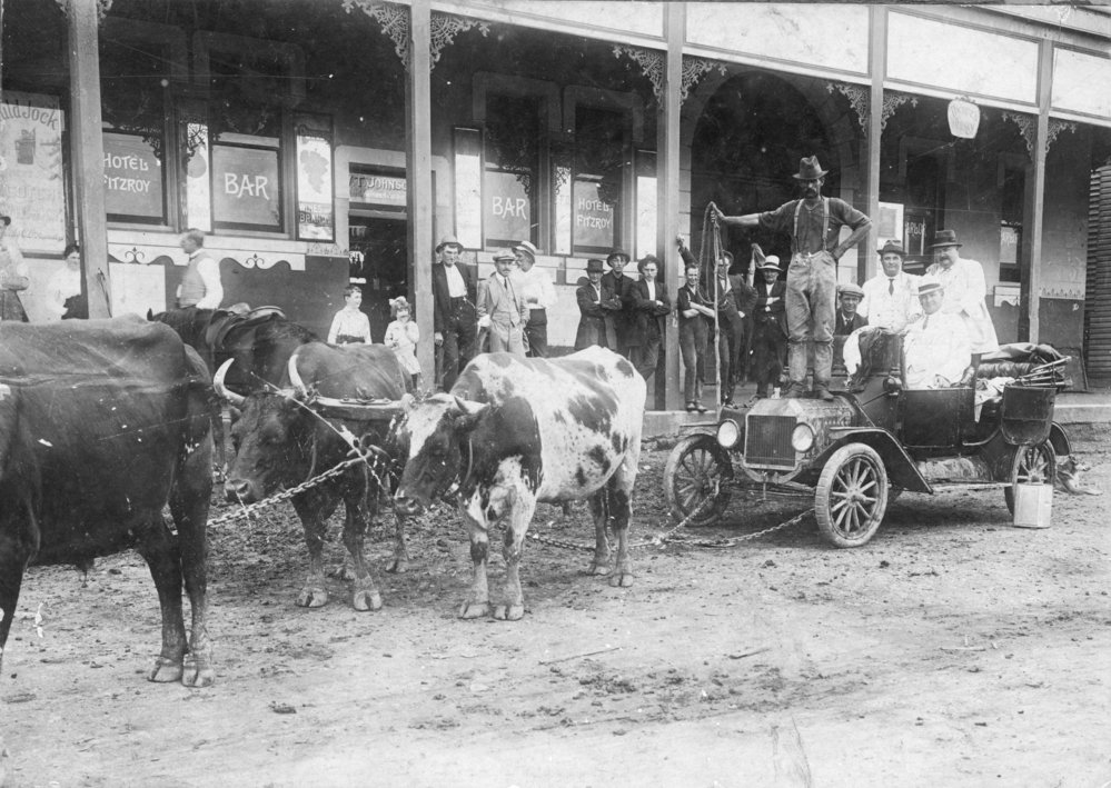 Bob Carney with his bullock team attached to a car, c. 1912