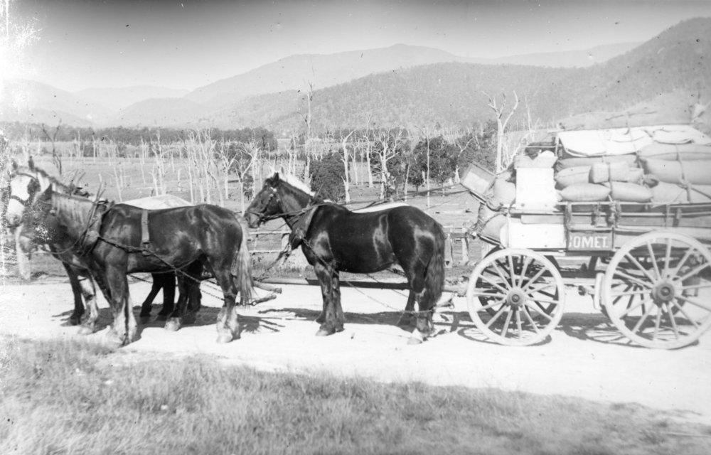 Delivery to Upper Orara, 1898