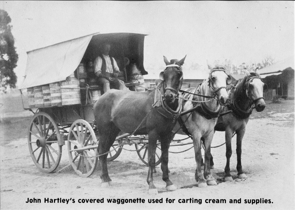 Carter John Hartley with horsedrawn wagon, c. 1910 