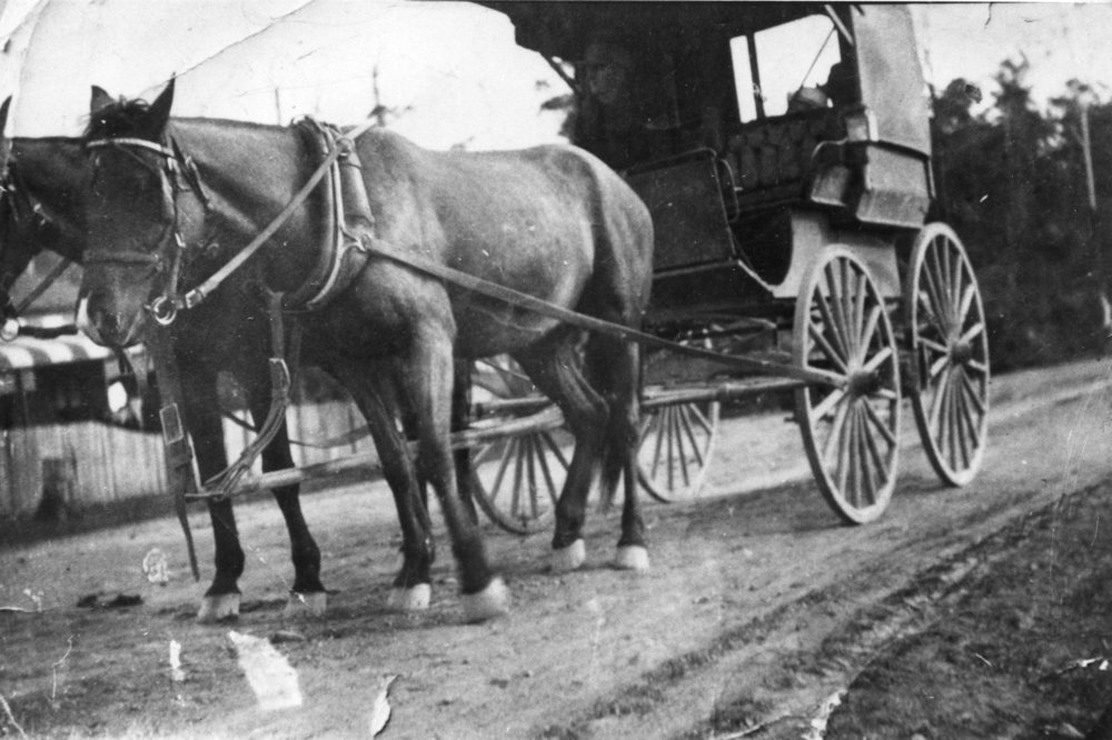 Horses and family buggy, c.1910