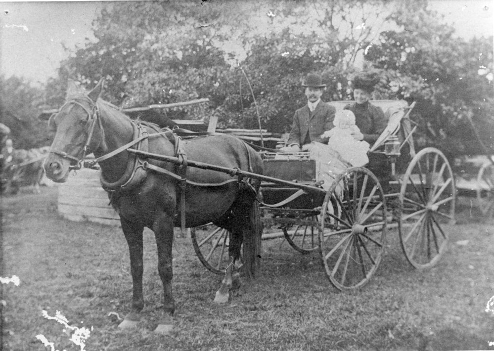 Family seated in a horse-drawn carriage, c. 1910
