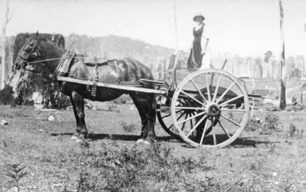 Mary Shannon standing on a horsedrawn cart, 1930s