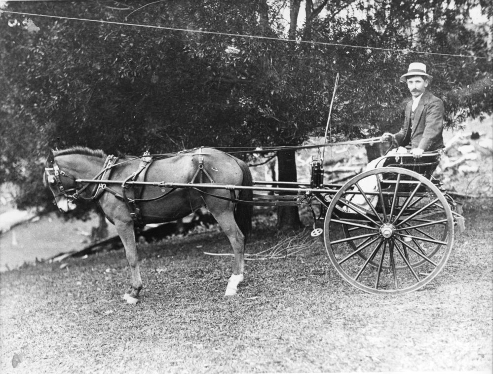 Charlie Davis with horse and sulky, c. 1900