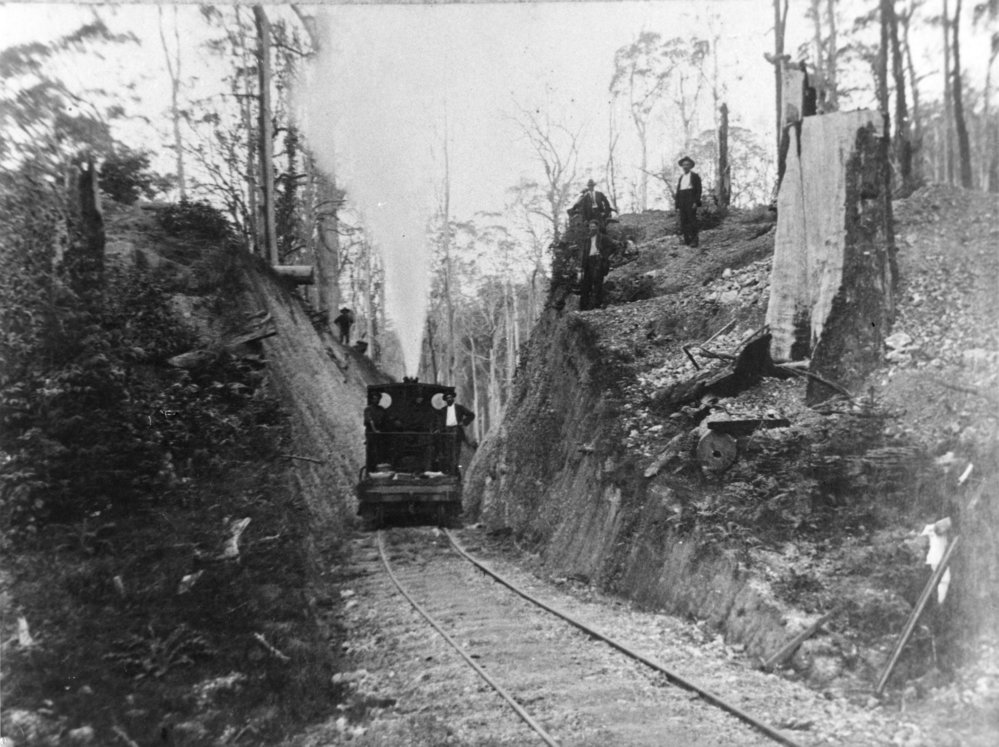 Steam train going through a cutting at Coffs Heights, 1914