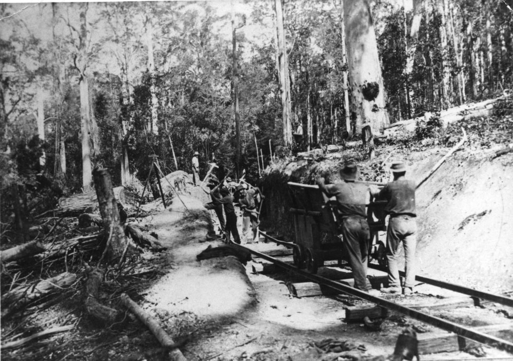 Building the tramline for the British Australian Timber Company through Bruxner Park, 1908-1912