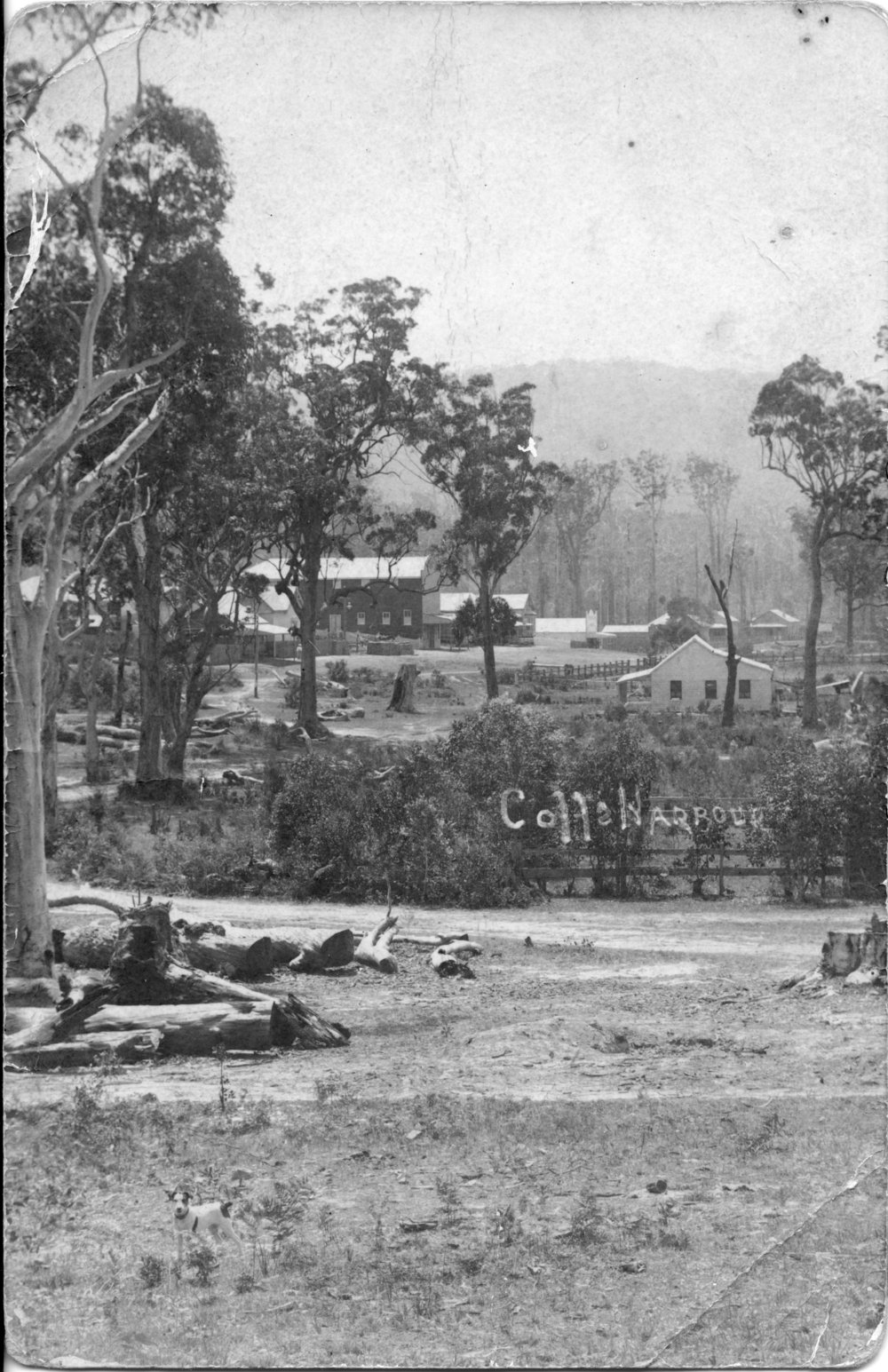 Masonic Hall with small terrier, 1905