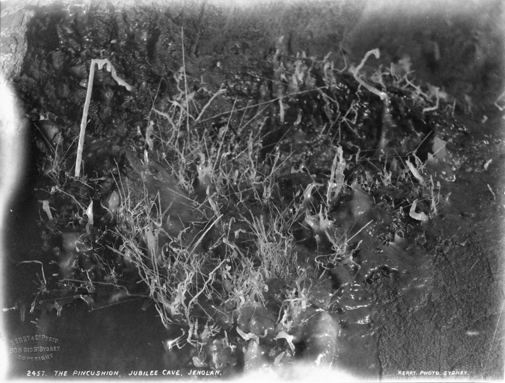 The Pincushion in the Jubilee Cave at the Jenolan Caves, c. 1905 