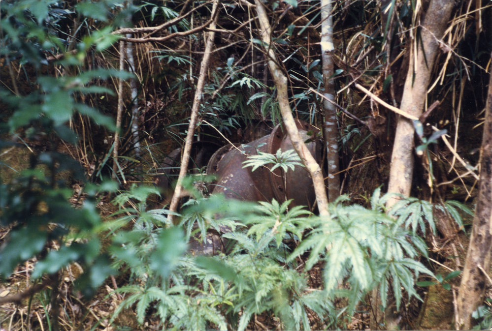 Thomas Timms' water turbine, c.1990 