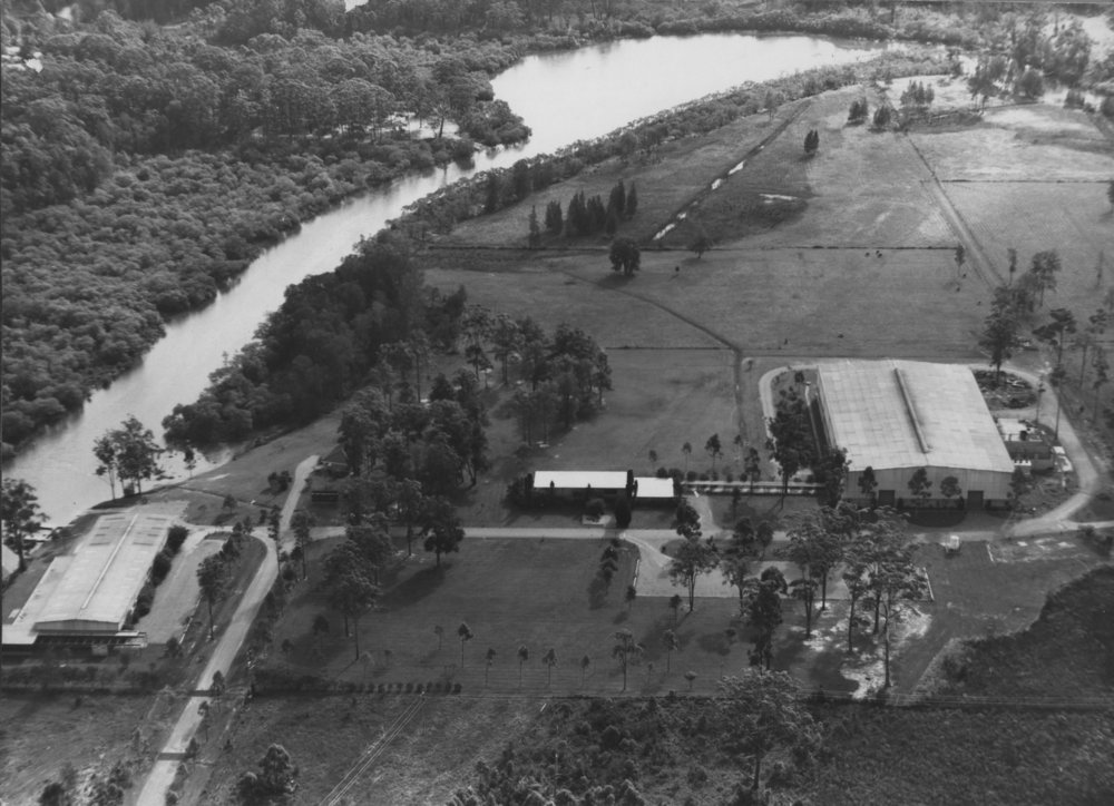 Hamilton Jet Boats on the creek with Smiths factory on right | Coffs ...