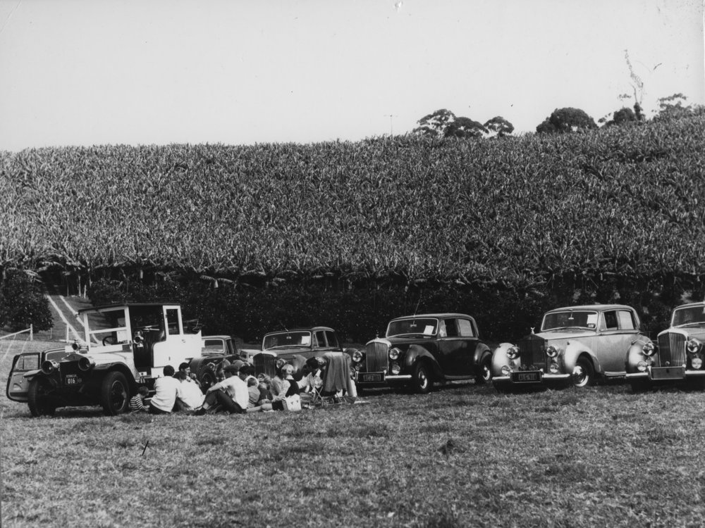 A picnic on Jack Ladd's banana plantation during a Rolls Royce rally, 1970