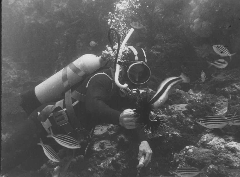 Ross Burton feeds fish at South Solitary Island