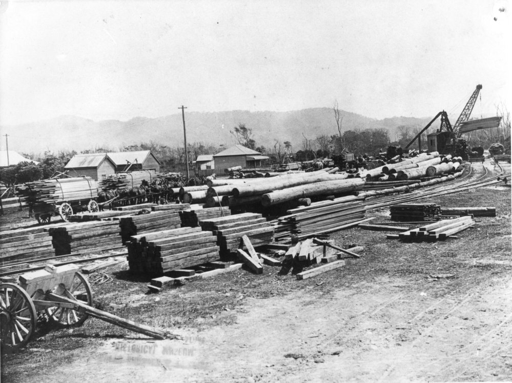 Coffs Harbour Northern Timber yard, c.1920s