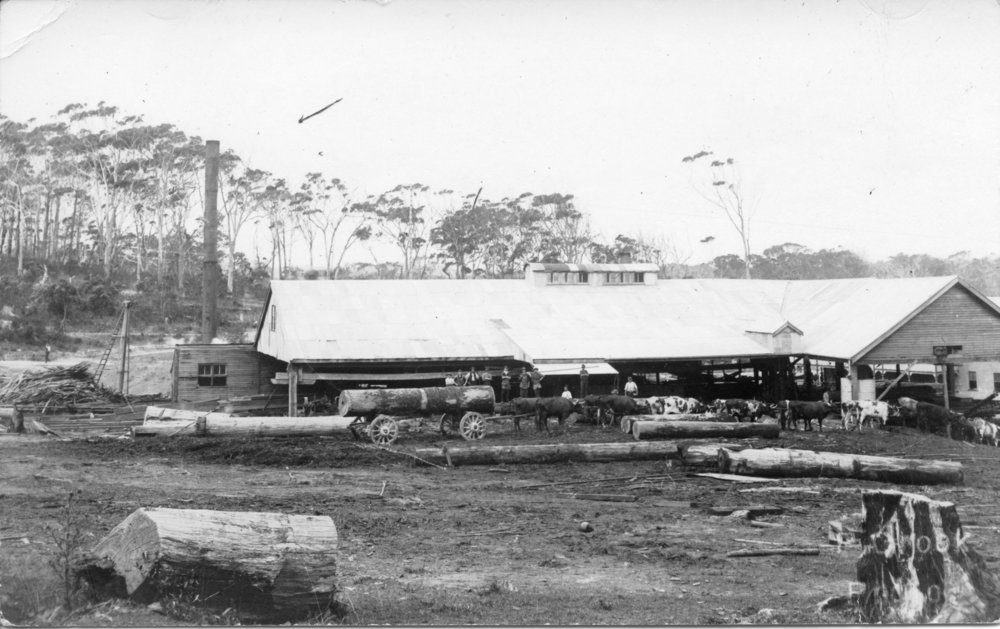British Australian Timber Sawmill at Coffs Jetty, c.1910