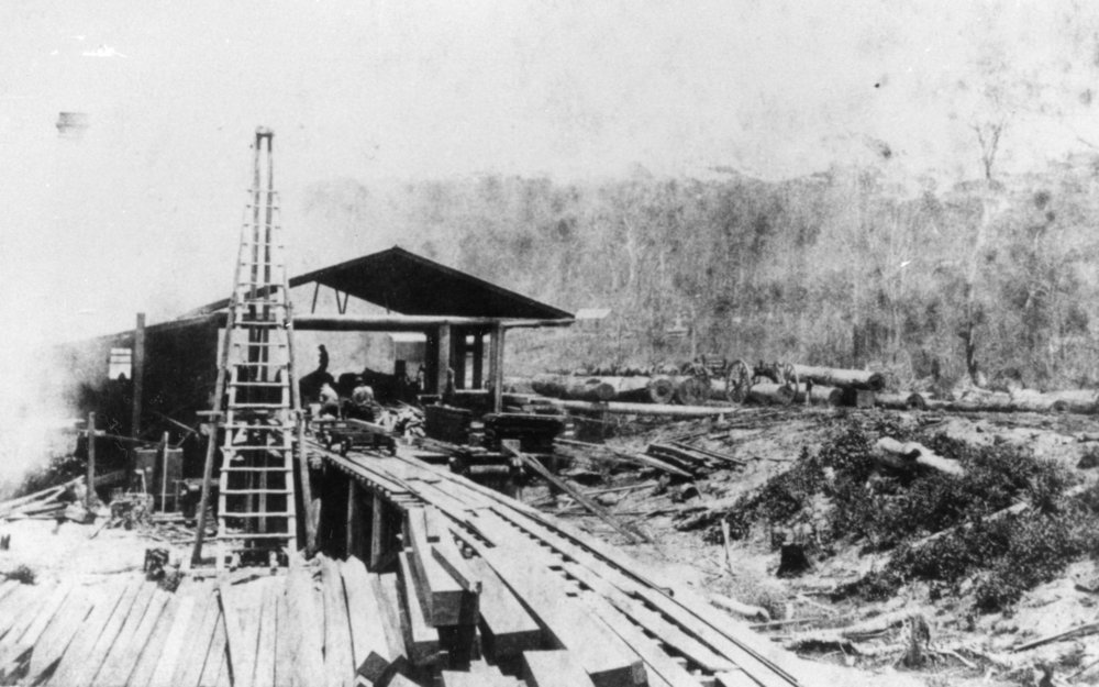 Karangi Sawmill, 1910 
