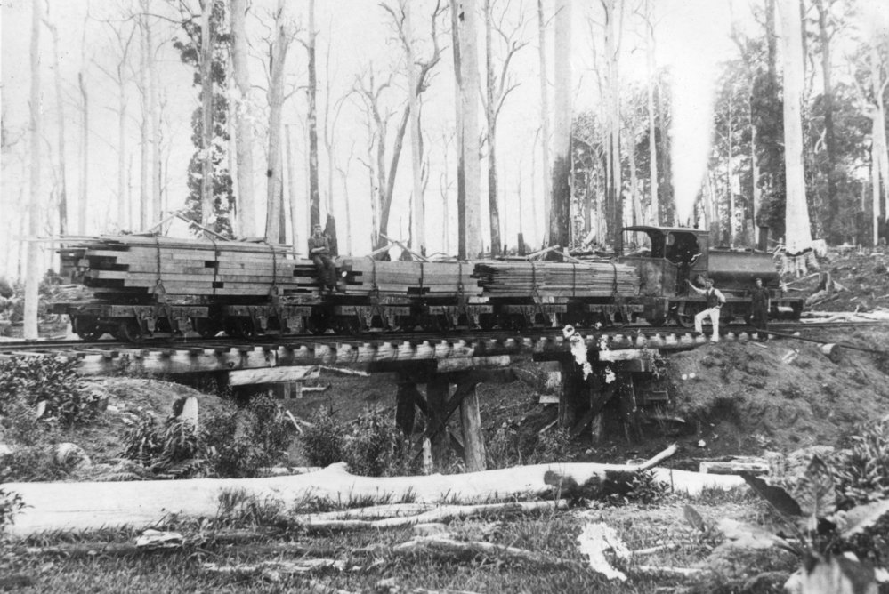 Andrew Barclay locomotive working with one of Coffs Harbour Timber Co.'s sawmills, 1915