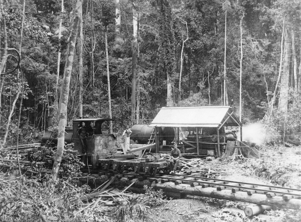 A log hauler at Bucca Creek Valley, 1910
