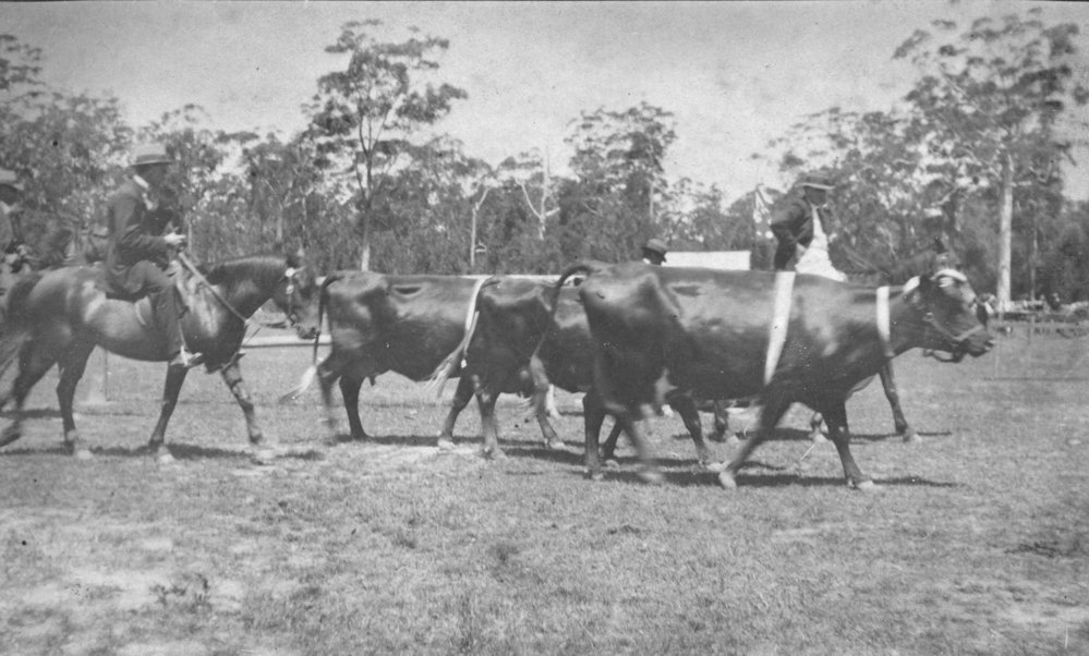 Charles Sharp and Clarrie Dudgeon, 1915