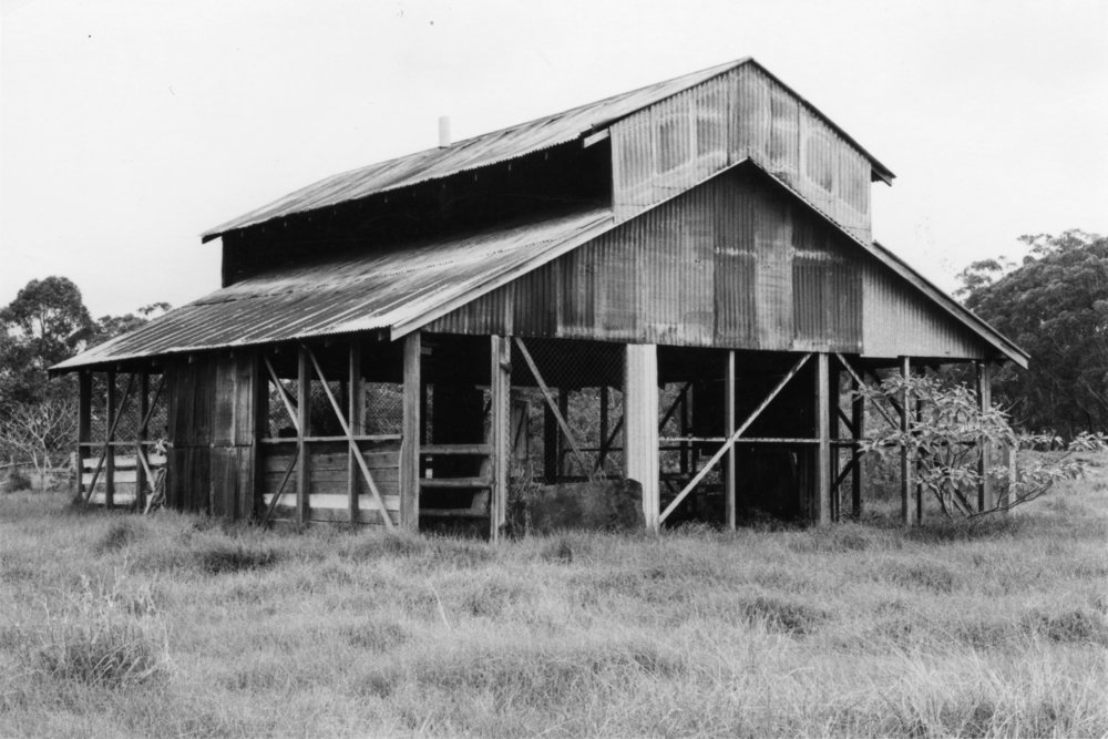 Sanitary shed in the Botanic Garden, 17 November 1981 