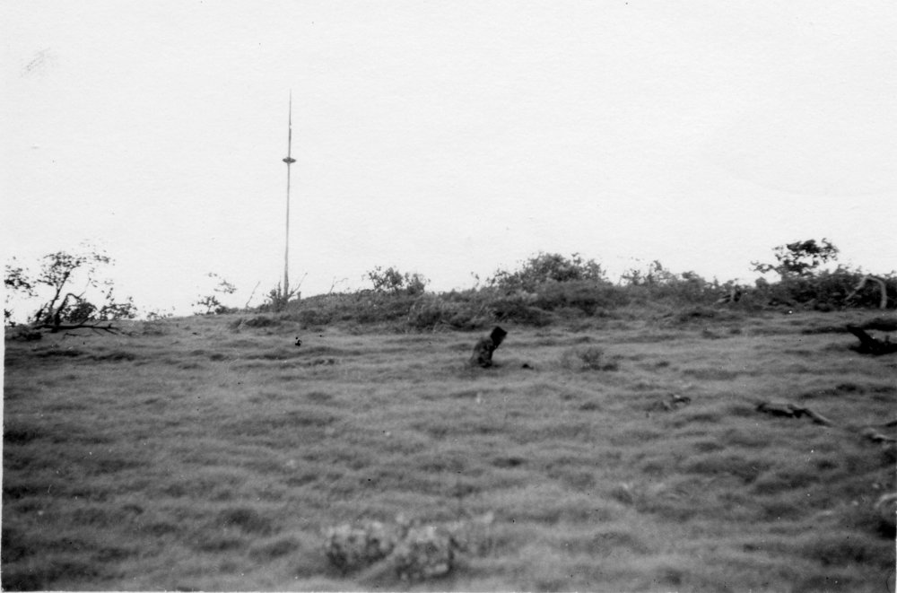 The signal mast at Dammerel Headland, c. 1950