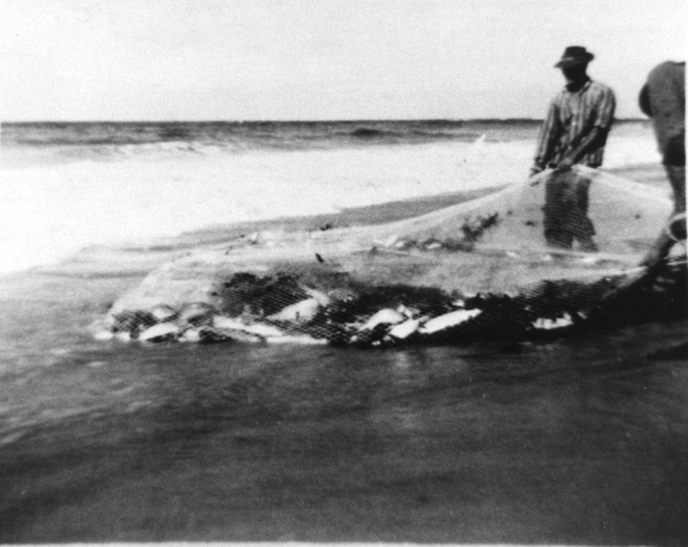 Hauling fish on Bundagen Beach, c. 1960s
