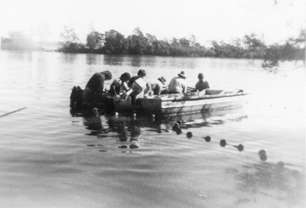 Fish netting in Nambucca River