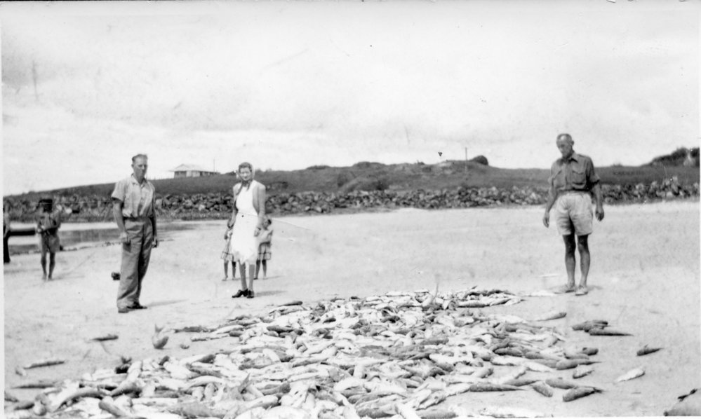 Jetty Beach and fish haul, 1945