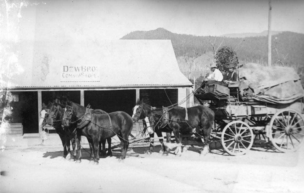 Dew Bros Store, 1912  - 1915