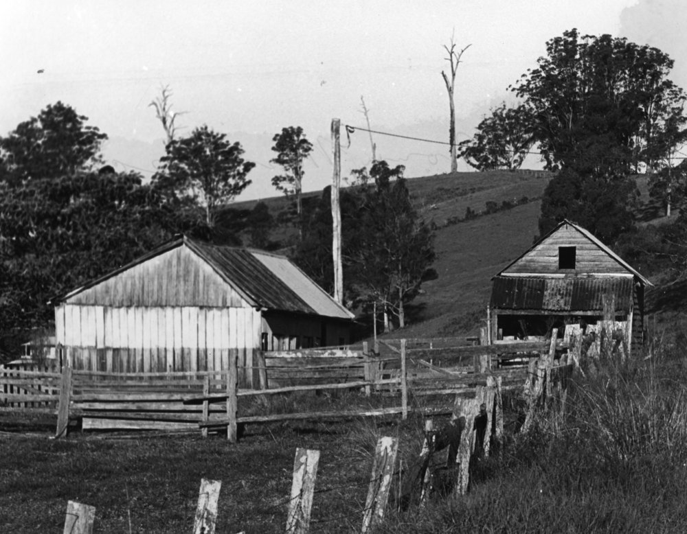 McGuigan's dairy farm bails on Dairyville Road, c. 1980