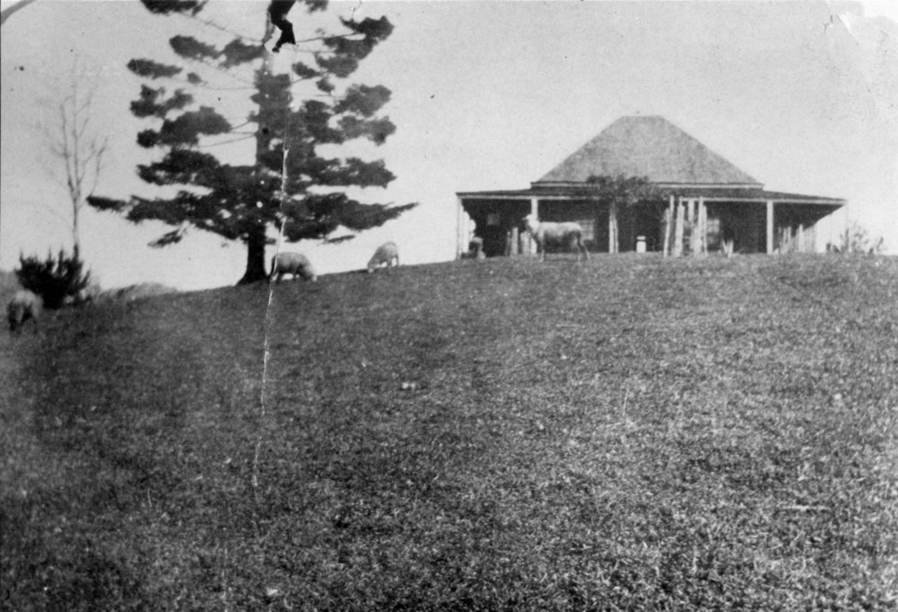 "Spion Kop" on Shepards Lane, c. 1920