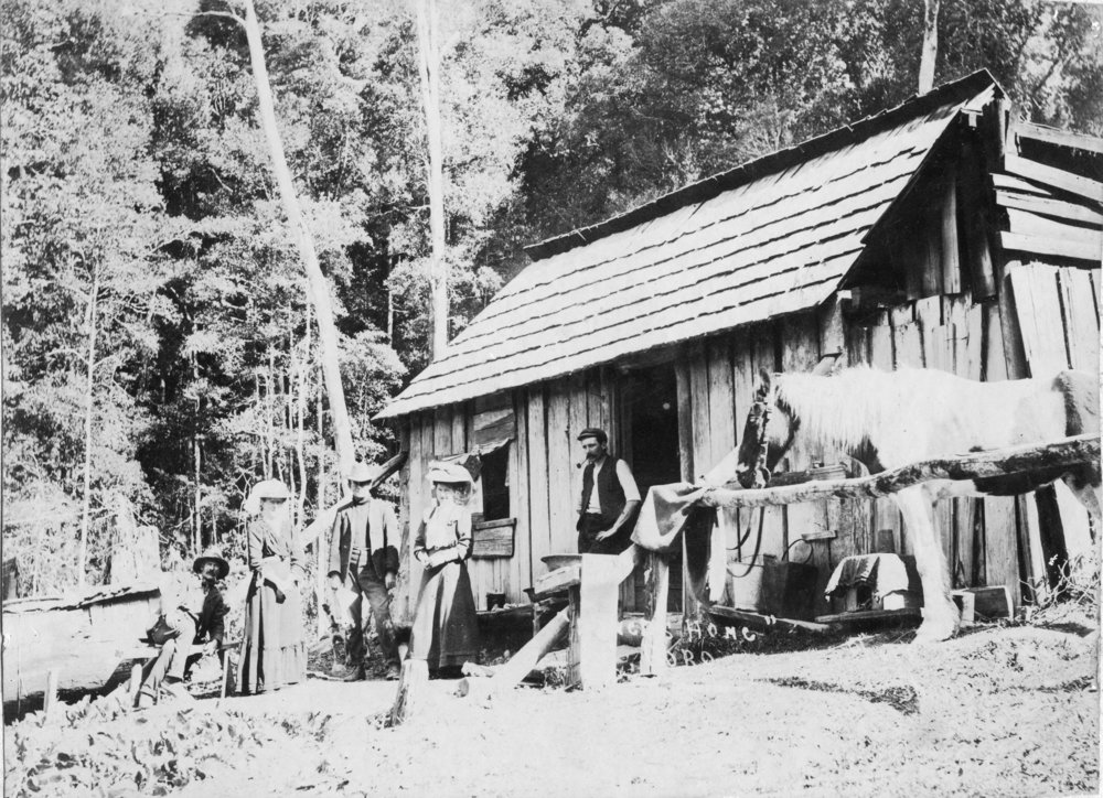 Pioneer slab hut at BoBo, 1910