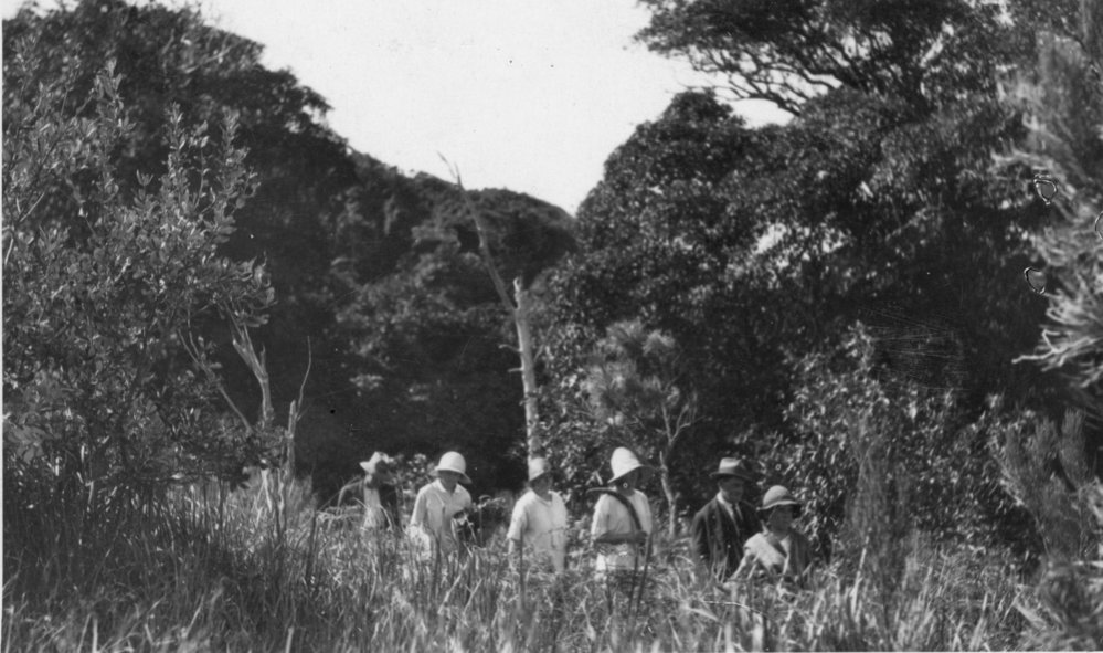 On Boambee Headland, 1925 
