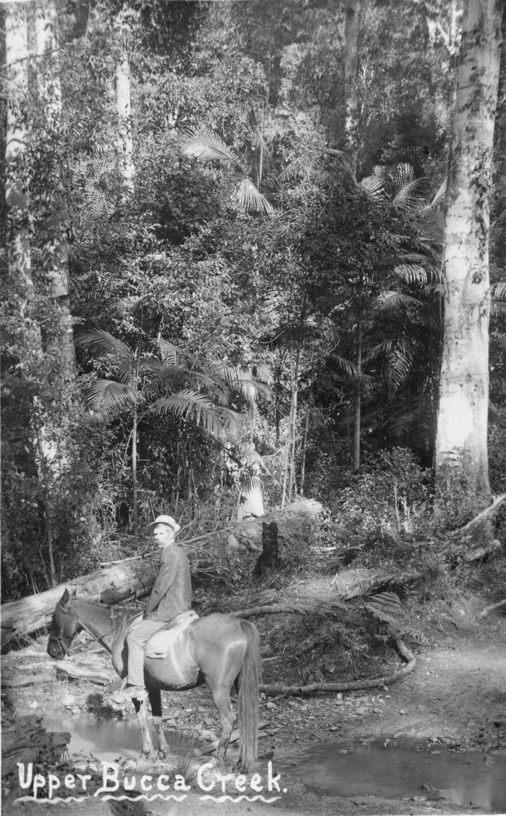 John Perring at Upper Bucca Creek, c.1915 