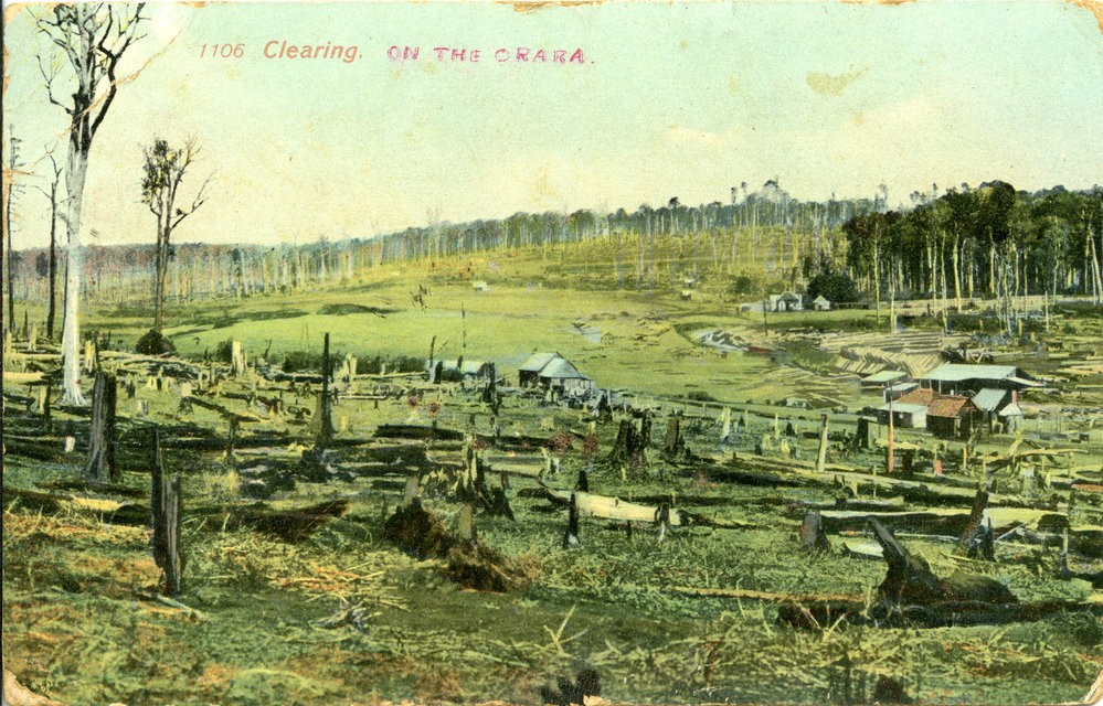Orara Valley, 1908 