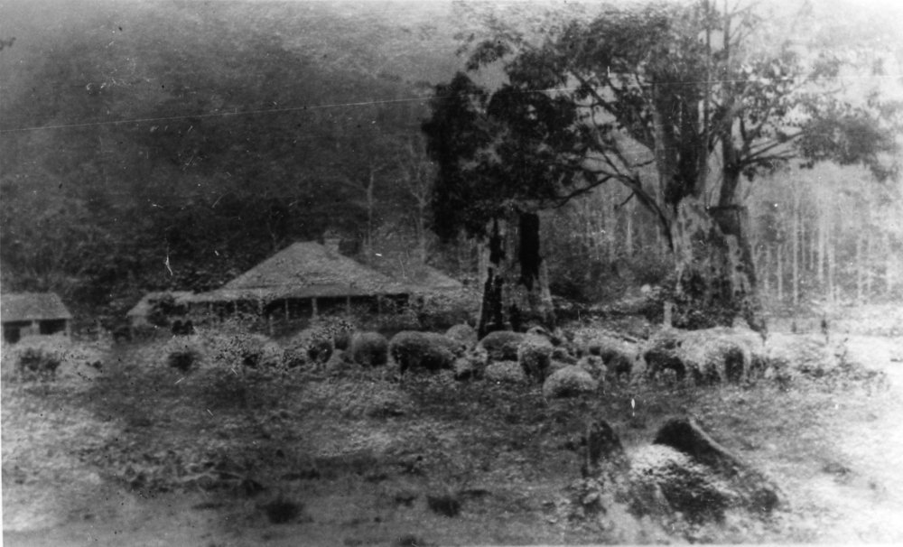 Angus McLeod's home, 1907 