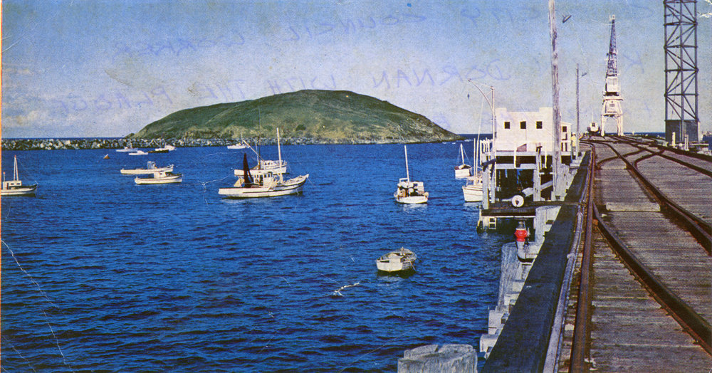 Coffs Jetty and fishing fleet, 1960