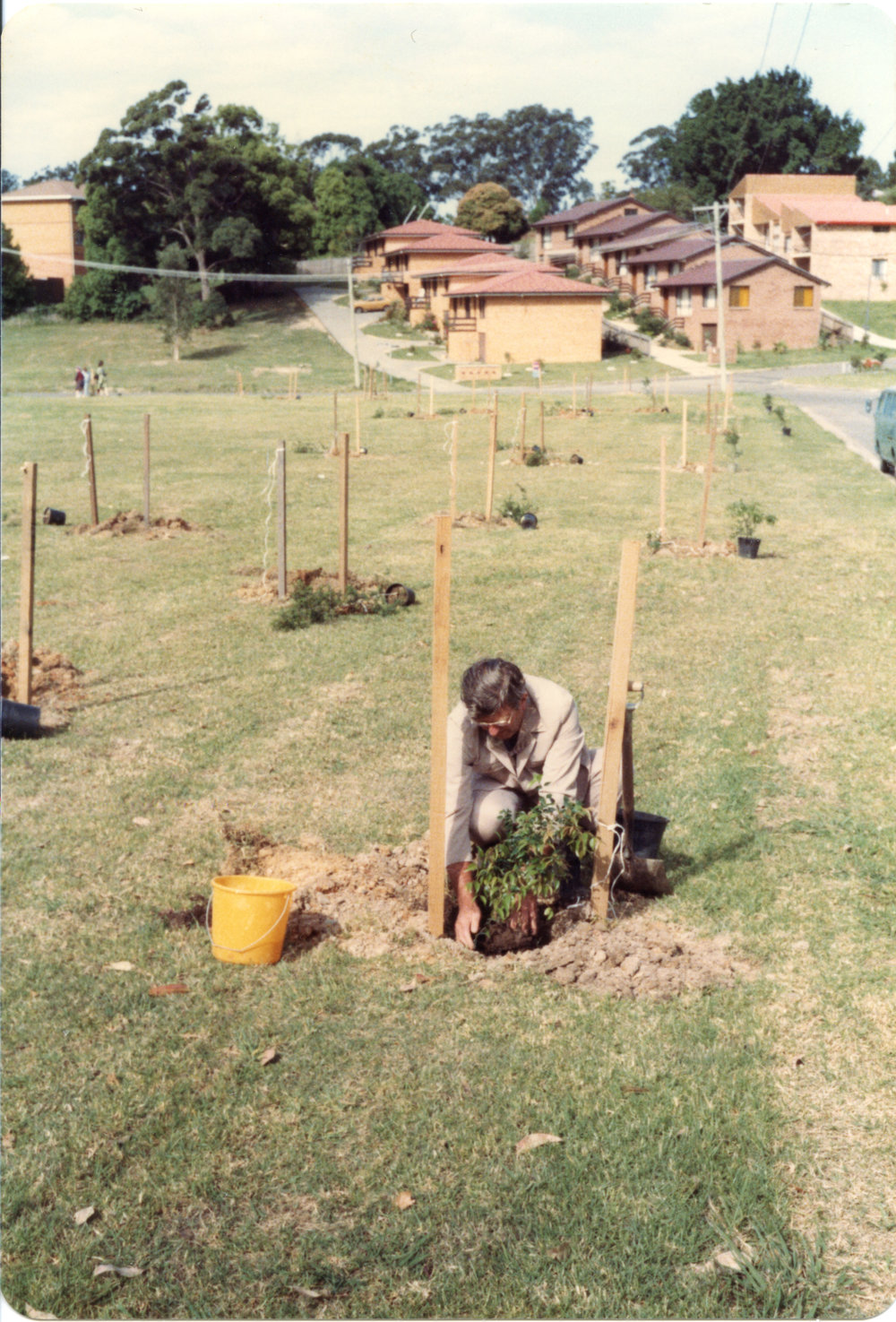 Tree planting at Shephard Park, 1983 