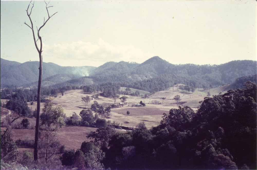 View of Orara Valley, 1963 