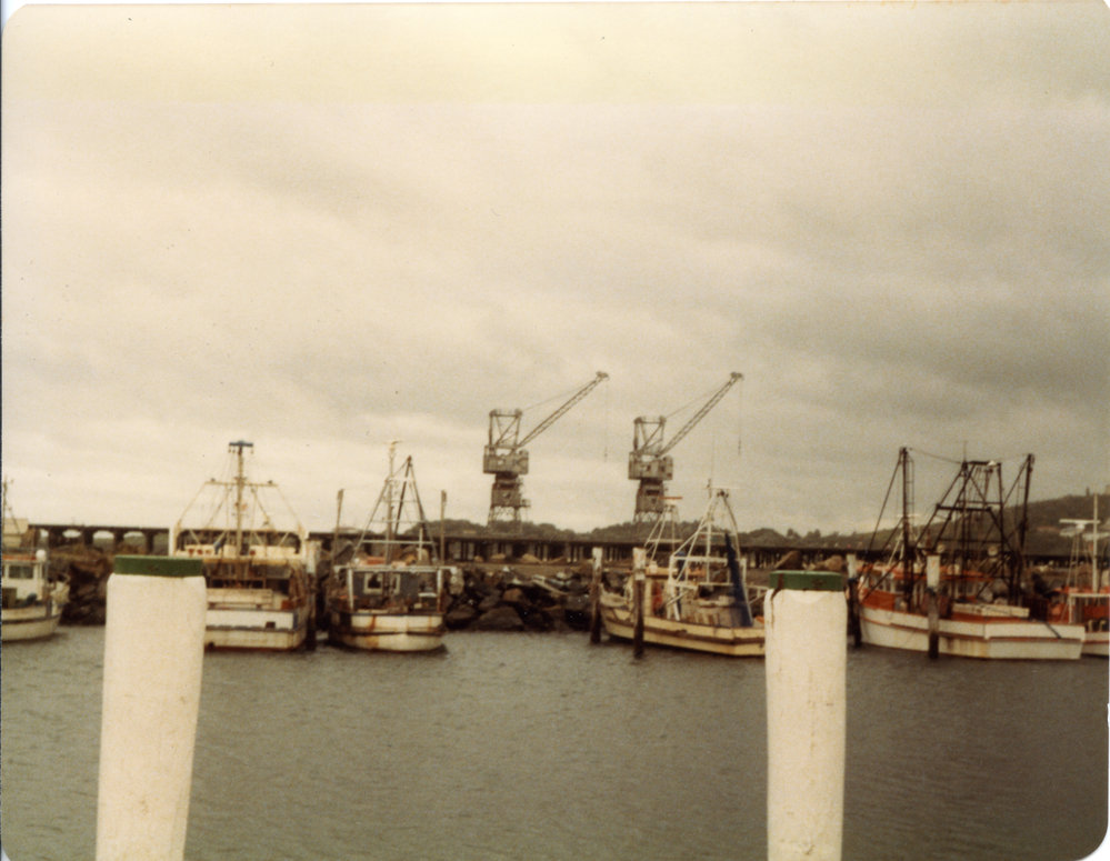 Prawn trawlers at the Coffs Harbour Marina, 16 January 1984 