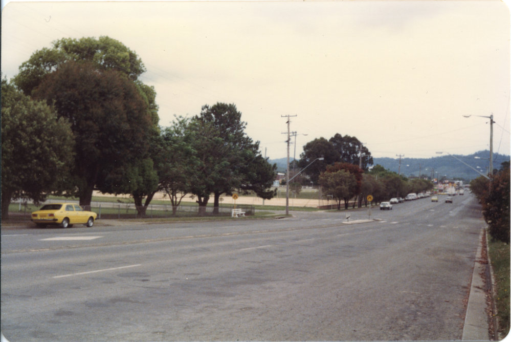 Looking westward across Brelsford Park from 215 High Street, November 1983 