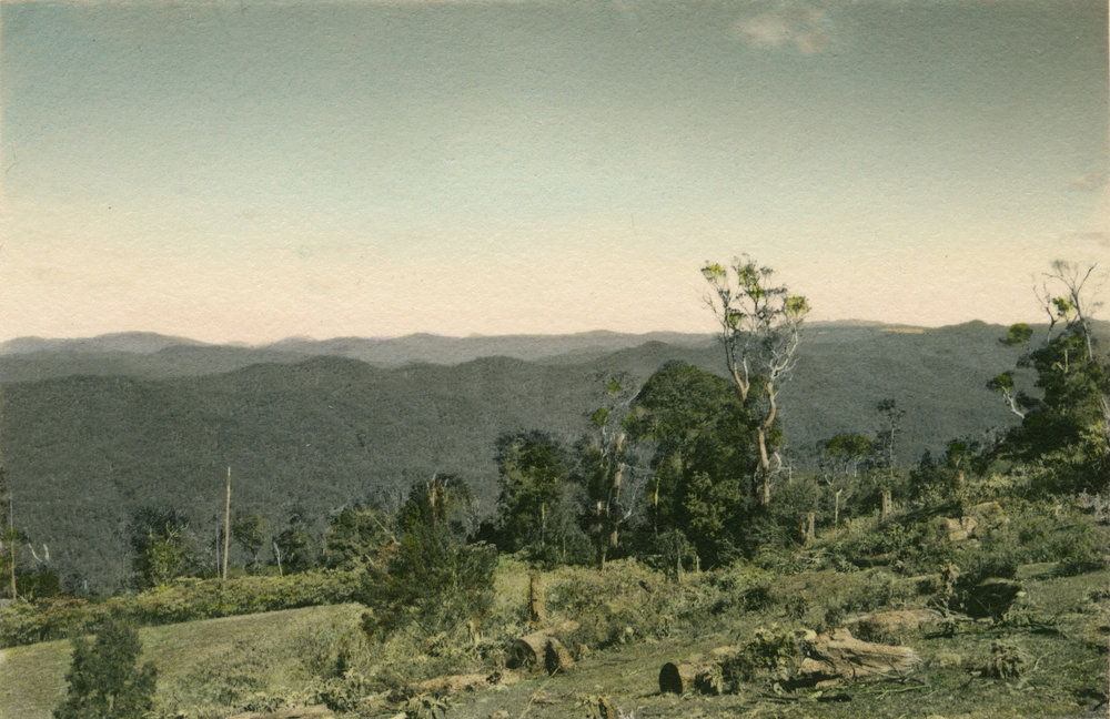 From Mountain Top Lookout, 24 July 1945 