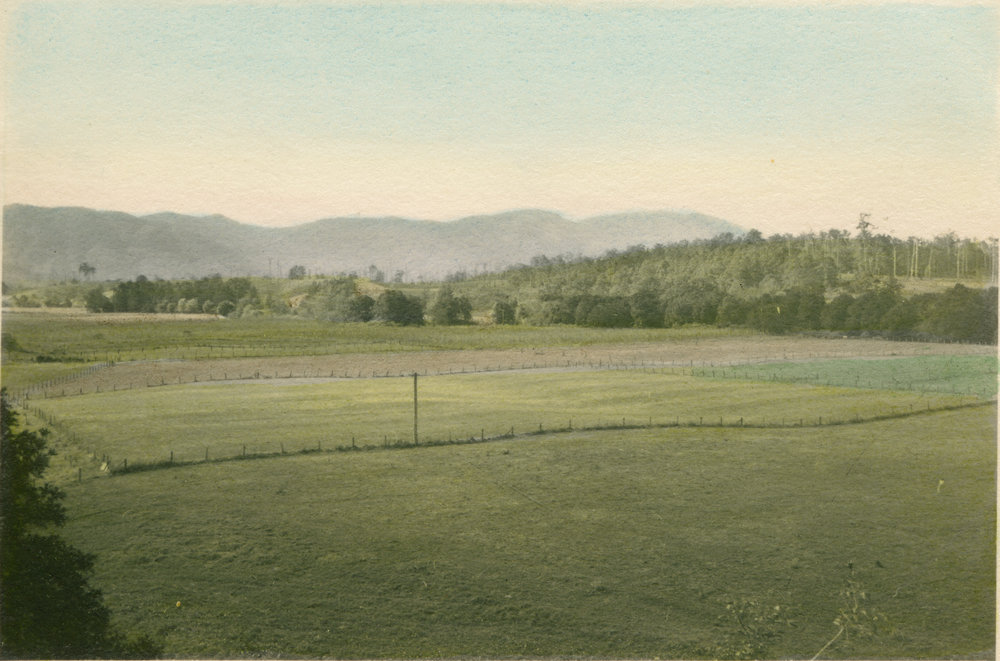 Bellinger River flats on Thora Road, 23 July 1945 