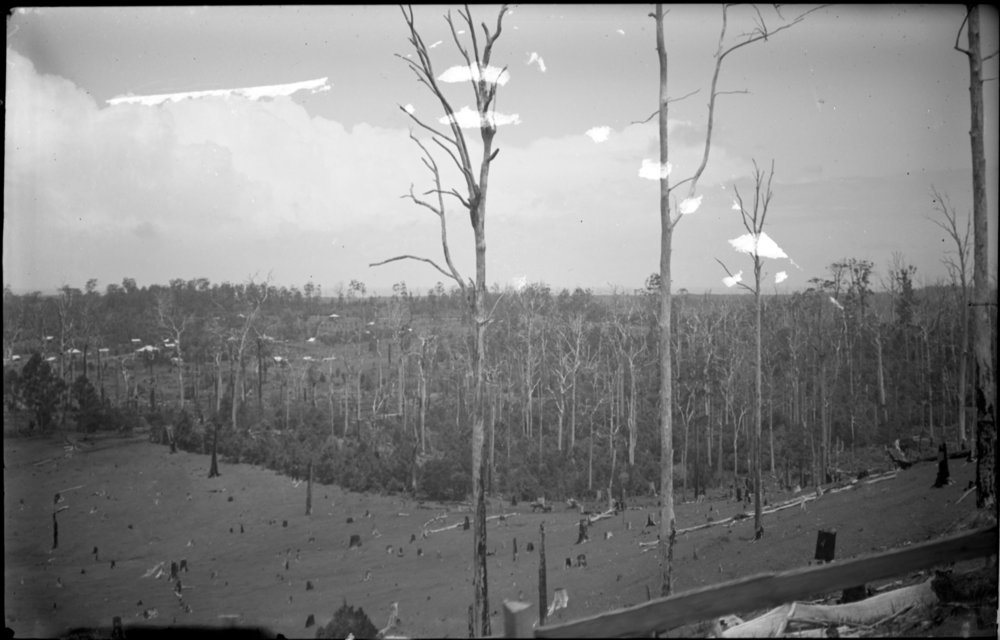 View from Roberts Hill, 23 March 1924
