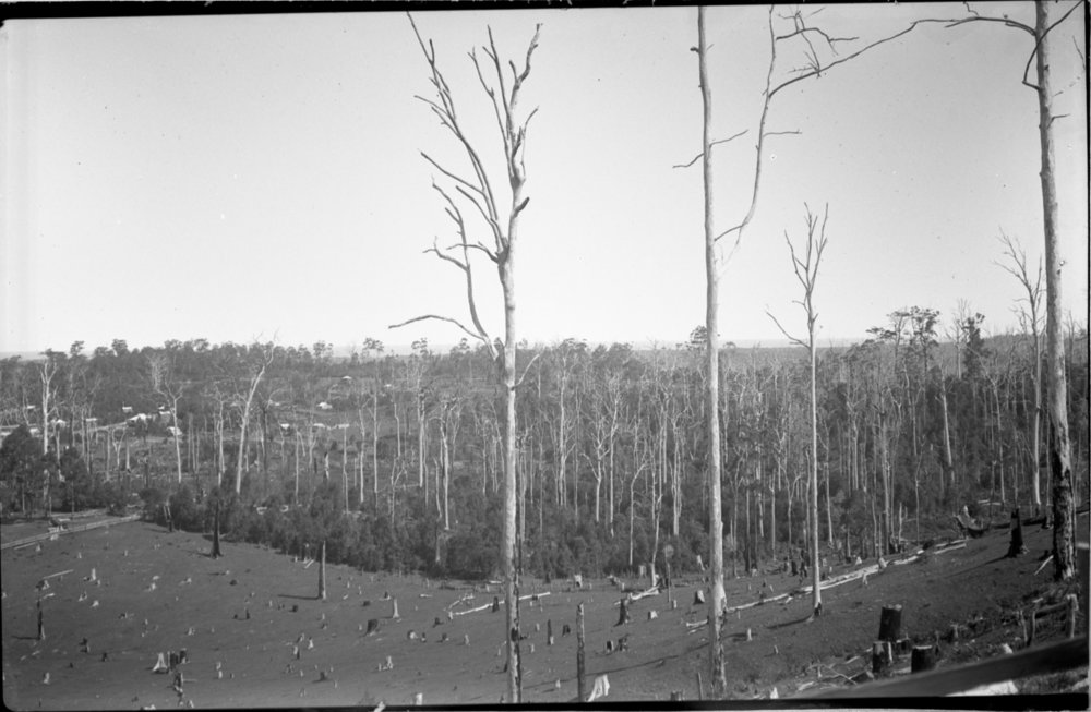 View from Roberts Hill, 23 March 1924