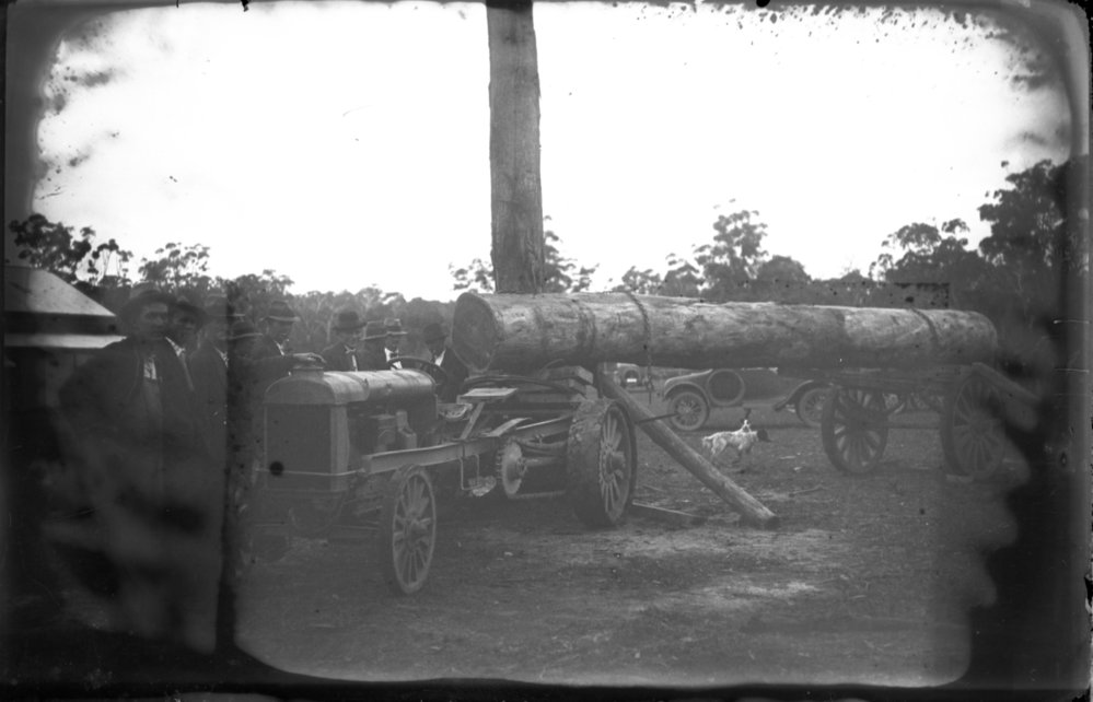 Log hauling demonstration with tractor, 1912