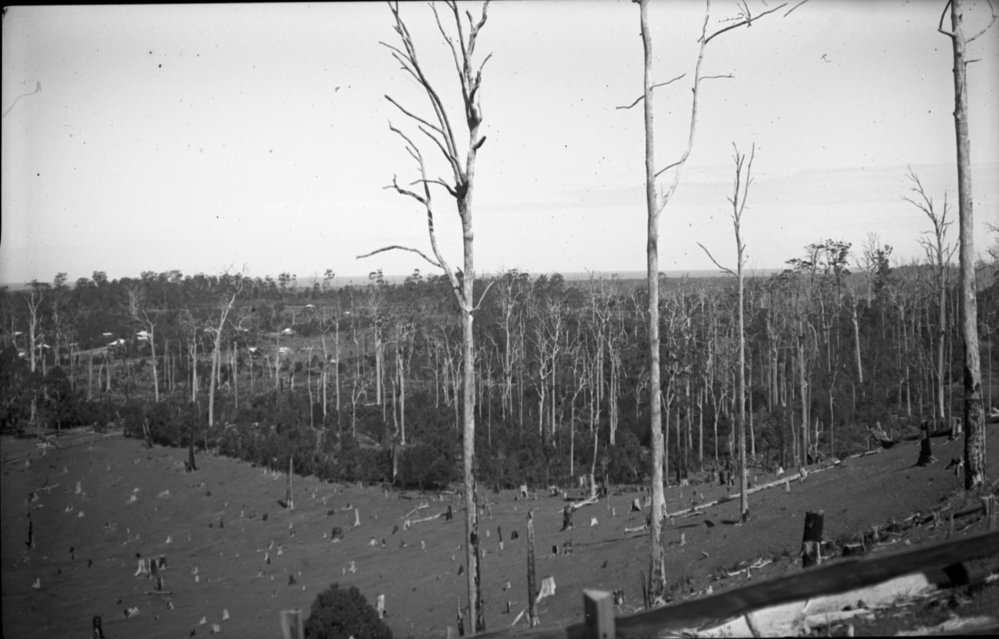 View from Nelson's Hill towards Coramba Road, 23 March 1924