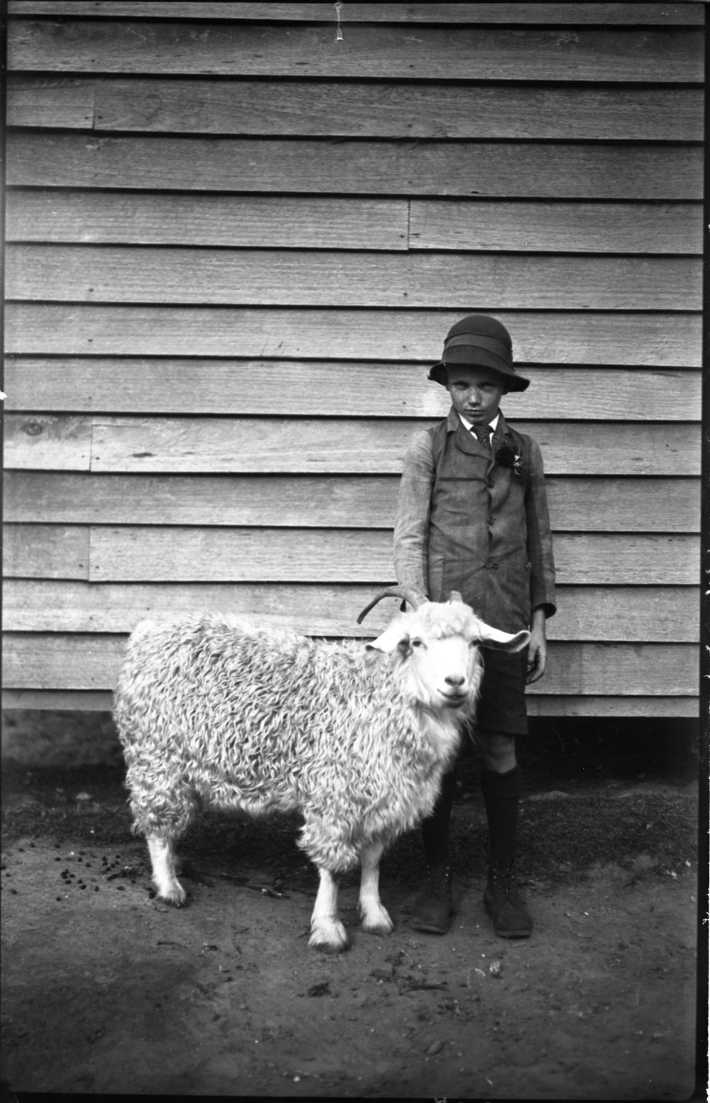 Boy with Mrs Bullock's angora goat