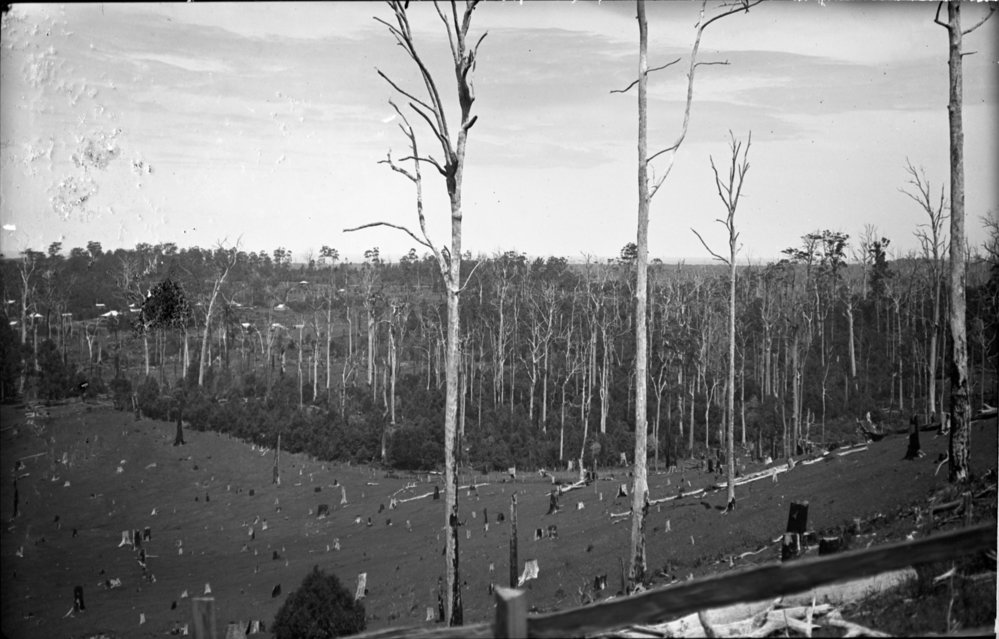A view from Nelson's Hill, 1920s