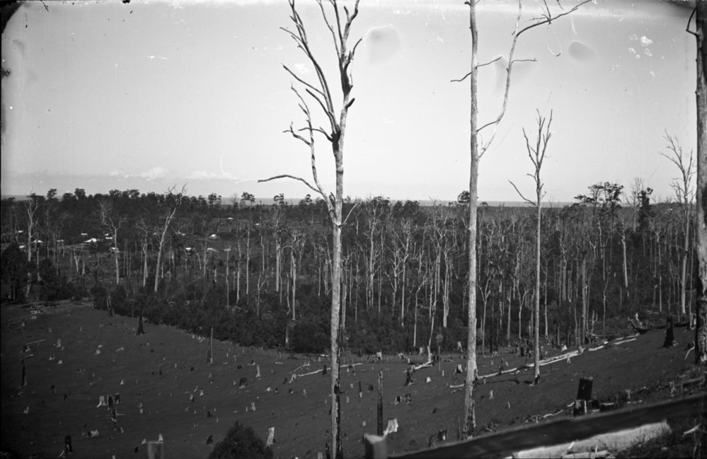 A view from Robert&rsquo;s Hill, 23 March 1924