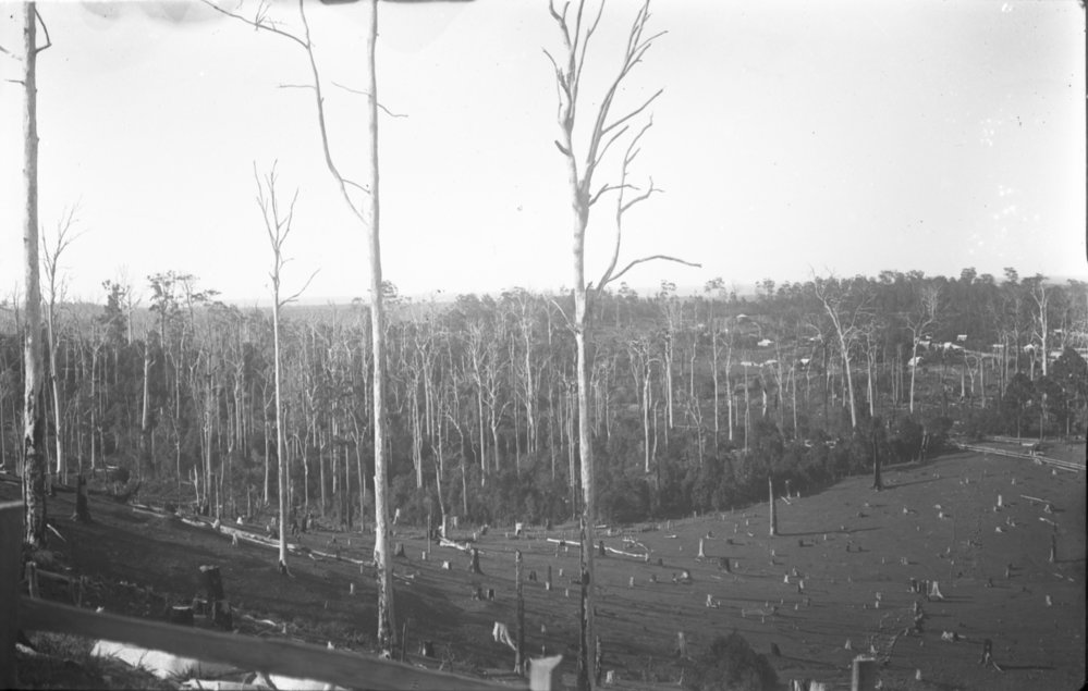 A view from Nelson's Hill, 1920s
